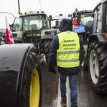 Высыпанное зерно и усиление блокады. Что происходит на границе с Польшей: главное