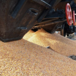 Українські аграрії мають переорієнтуватися на угорський напрямок, – Укрзалізниця