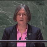 Условия мира Украина будет определять сама – Дания в ООН