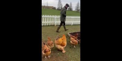 
Дэвид Бекхэм в резиновых сапогах насмешил видео с курицами на ферме: "С моими детишками"
