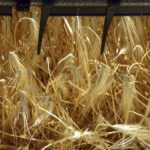 500 млн доларів втратила українська економіка через блокаду кордону у Польщі