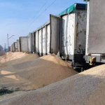 ЄС обіцяє посилити контроль за ввезенням зерна з України