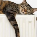 “Нафтогаз” розраховує заощадити до 500 млн кубометрів газу завдяки ранньому завершенню опалювального сезону