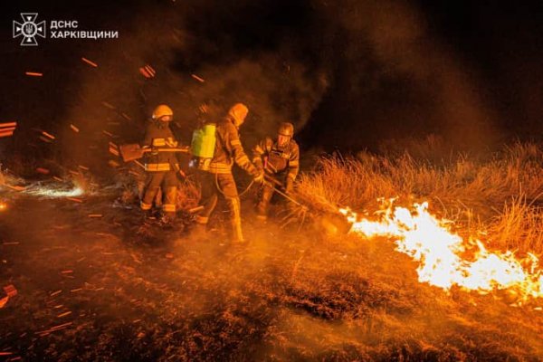 Под Харьковом едва не сгорело село: пожар тушили 13 часов. Поджигателей травы просят опомниться