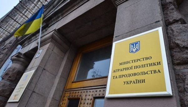 Украинская зерновая ассоциация выступает против ликвидации Минагрополитики