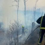 На Закарпатье масштабный пожар на территории лесничества: тушат более 100 человек