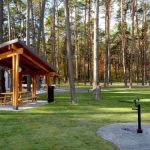 “Ліси України” включили  до переліку особливо важливих для економіки держкомпаній