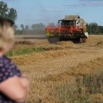 Доходы с гектаров. Какими будут цены на землю в Украине и сколько на этом можно заработать