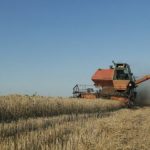 Фонд держмайна планує цього літа провести перші аукціони зі здачі в оренду сільськогосподарських земель