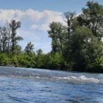 На берег Тисы вынесло тело 10-го с начала мая утопленника