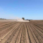 Фермерським господарствам, які опинились в окупації, відстрочили повернення держкредитів