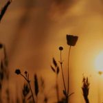 В ближайшие дни в Украине будет жарко и без осадков