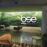 Семья миллиардера Коха инвестирует во владельца Brooklyn Nets стоимостью $6 млрд