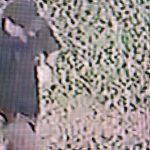 В Херсоне сотруднице горсовета плеснули кислотой в лицо