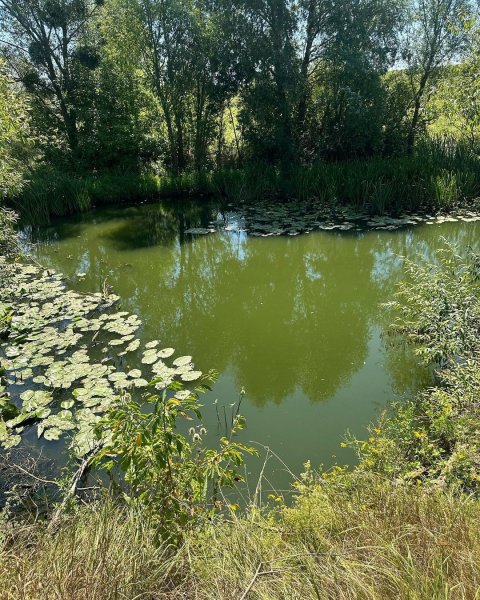 
Надя Дорофеева приехала в село, где прошло ее детство, и показалась с семьей: "Счастливые времена"
