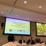 В Гааге обсудили создание комиссии по рассмотрению заявлений по компенсации от РФ