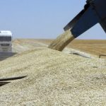 ​В Україні вже намолотили 3,7 мільйона тонн нового врожаю