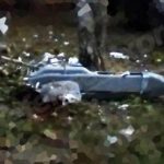 Появились фотографии нового дрона, которым россияне атаковали Киев