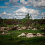 Строительство фортификаций в Украине: Минобороны поручили отчитаться о финансировании