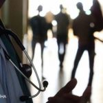 В Винницкой области зафиксировали случай дирофиляриоза: что важно знать о болезни