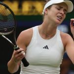 Свитолина: «Пыталась отдать все силы, но, к сожалению, этого не хватило»