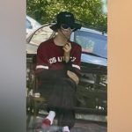 СМИ: К убийству Фарион готовились минимум месяц, у убийцы могли быть сообщники