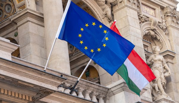 Визит Орбана в Украину: что привозил и с чем уехал?