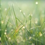 В понедельник в ряде регионов пройдут дожди