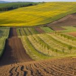 Фонд держмайна завершив створення Земельного банку