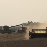 Росіяни планують збільшити масштаби крадіжки українського зерна