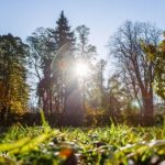 Лето возвращается? Синоптик дала подробный прогноз на выходные в Украине