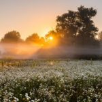 Синоптики дали прогноз сегодня в Украине. Где ждать дождей