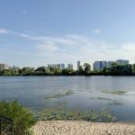 АРМА шукає управителів для земельних ділянок ексрегіоналів Медведчука і Козака