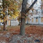 Последствия удара по Сумах: 10 погибших, 22 раненых, из них 5 “тяжелых”