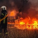 На Киевщине горит лесная подстилка: в КГГА предупреждают об ухудшении качества воздуха