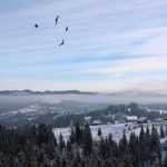 Будет ли снег в Украине где-то еще, кроме Карпат: ответ синоптика