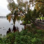 В трех парках в Киеве сегодня лучше не гулять: в чем причина