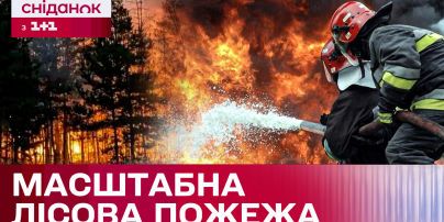 
У Даши Малаховой сгорело здание в загородном комплексе: "Идет экспертиза"
