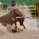 TKO Group приобретет активы производителя спорттоваров Endeavor Sports за $3,25 млрд