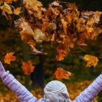 Синоптики обещают теплую и сухую погоду в ближайшие два дня