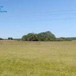 ​Через “Земельний банк” здали в оренду понад 1000 га земель на 35 млн гривень