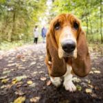 Синоптики дали прогноз на завтра в Украине. В каких областях ожидается дождь