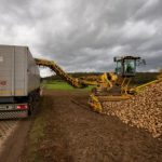 Мінагрополітики про врожай 2024: зібрали 47,9 млн тонн зернових і 18,8 млн тонн олійних культур