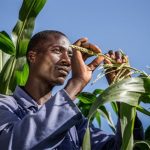 Американский Acumen вкладывает $1,5 млрд в стартапы в сфере агротехнологий