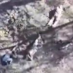 Россияне расстреляли пятерых пленных бойцов ВСУ возле Угледара