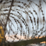 БЕБ: бюджет втратив 300 млн грн через схеми з перепродажем колючого дроту для фортифікацій