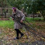 Сколько можно хранить дров, чтобы не попасть за решетку: объяснение авторов законопроекта