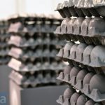 АМКУ з’ясовує причини підвищення цін на курячі яйця в жовтні цього року і 2022-го