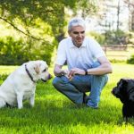 General Mills приобретает производителя кормов для животных Whitebridge Pet Food за $1,45 млрд