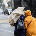 Киевлян предупредили о сильных порывах ветра и дали советы